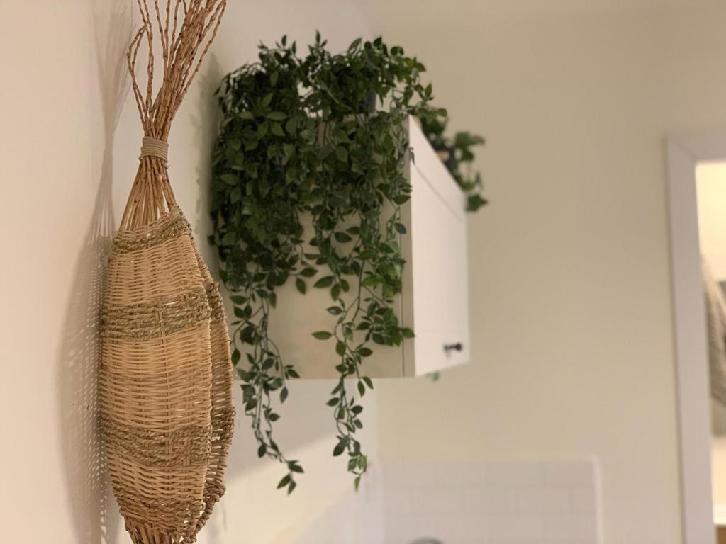 צימר מול פרדס - Housity