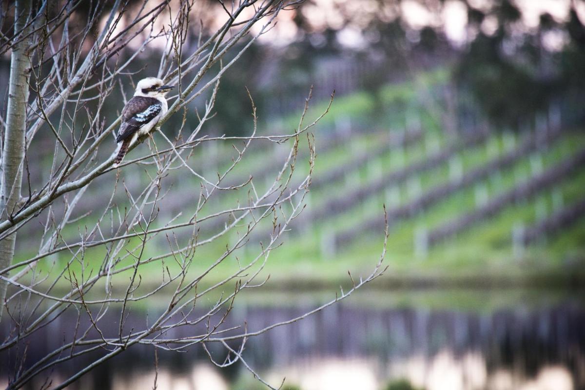 Bettenays Margaret River - Housity