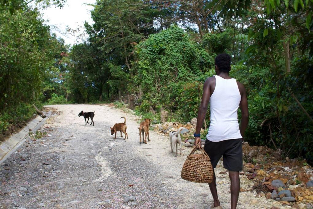 The Likkle Nature Queen Cottage - Housity