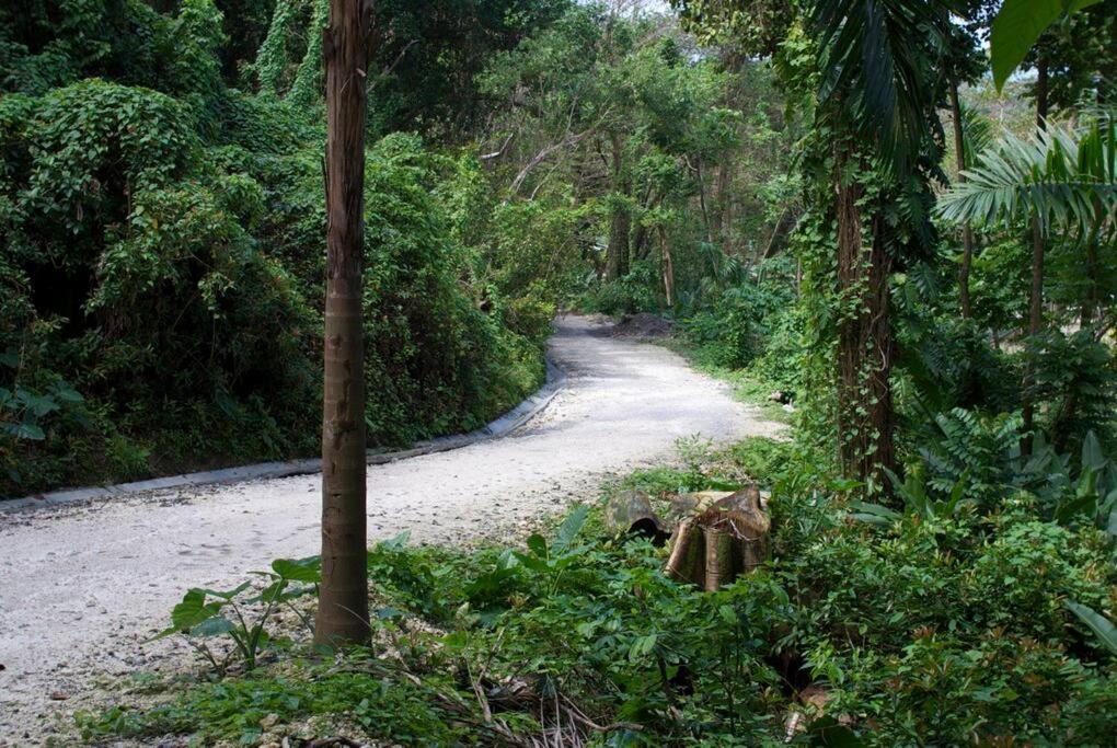 The Likkle Nature Queen Cottage - Housity
