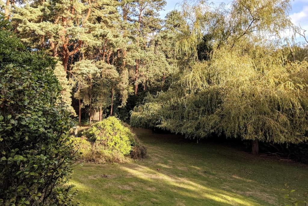 Luxury Mid Century Modernist Escape - 5 Bedrooms, Modern Kitchen - Housity