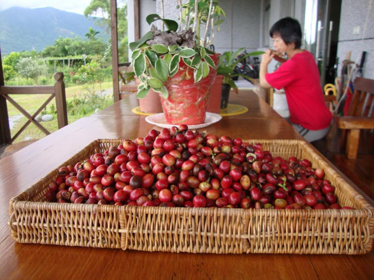 Taroko Sialin Coffee Farm Homestay - Housity
