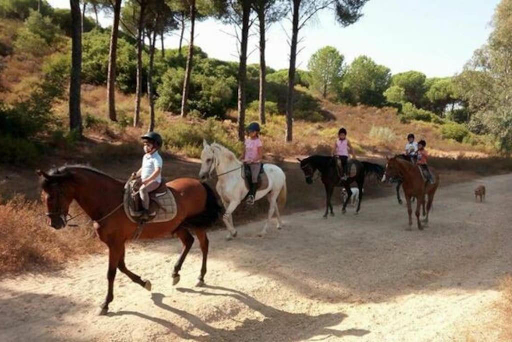 Suitetrails - Apartamento Marismas del Guadalquivir