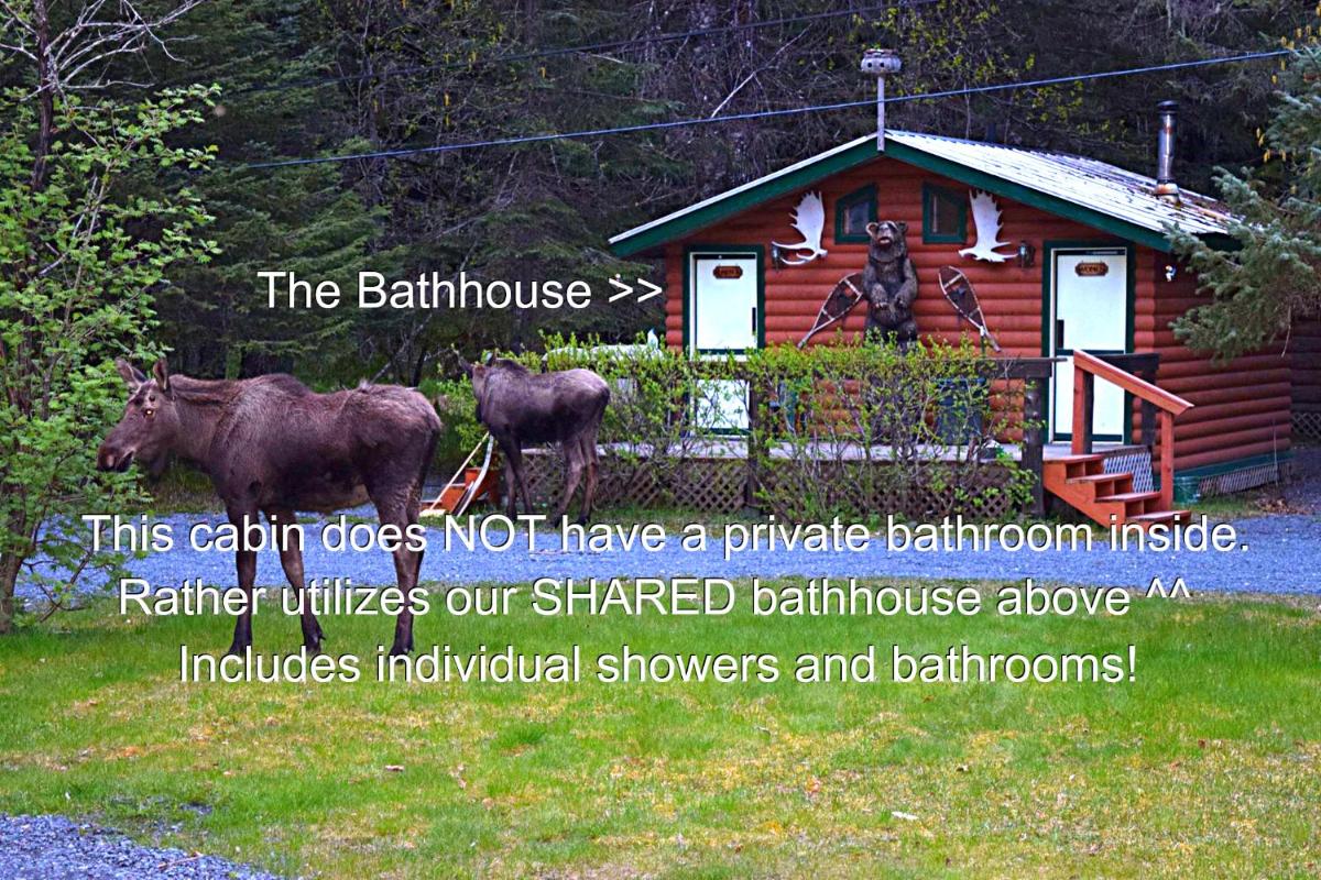 Alaska Creekside Cabins in Seward - Housity