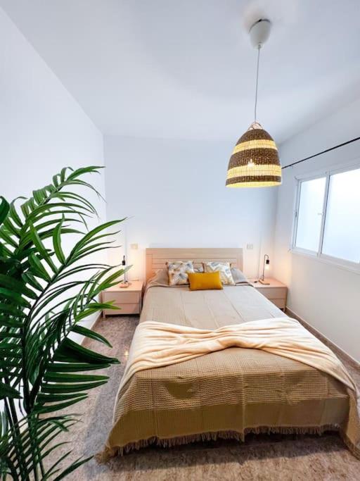 Suitetrails - Cosy apartment near the beach