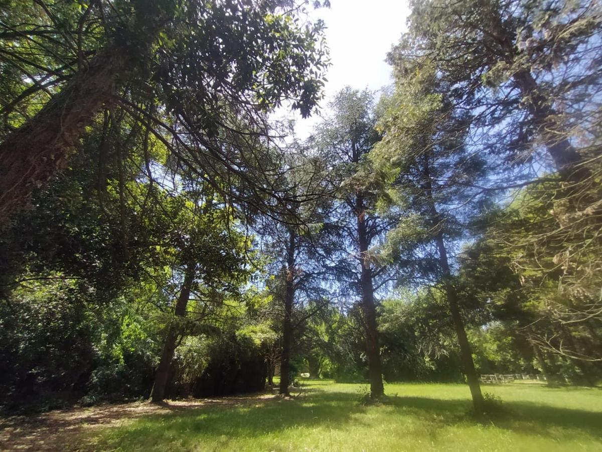 Suitetrails - Compartiendo el paraiso