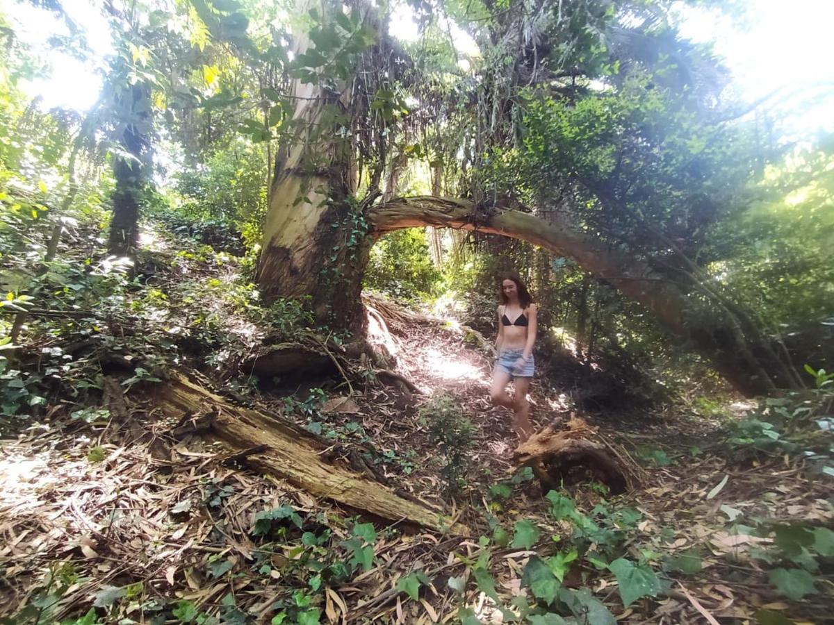 Suitetrails - Compartiendo el paraiso