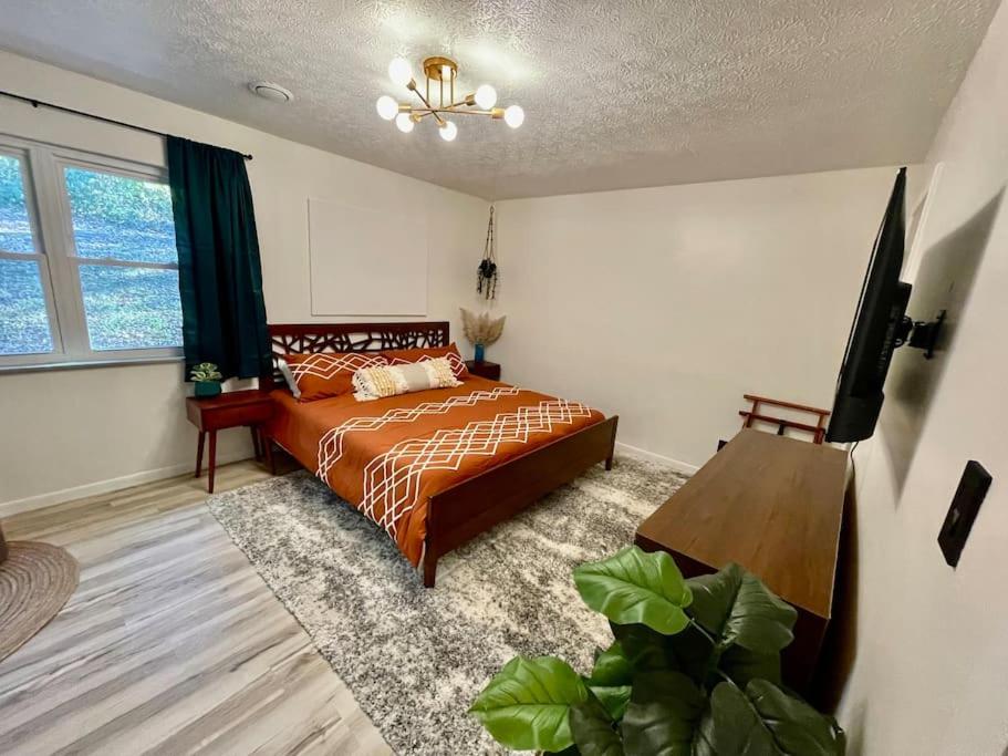Fresh and Spacious 1 Bedroom in South Knox - Housity