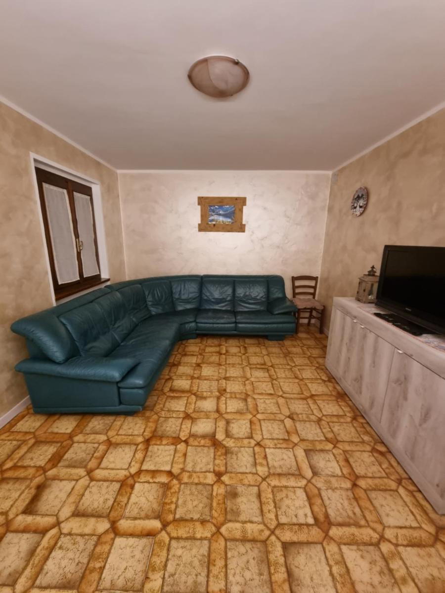 Stella alpina - Housity