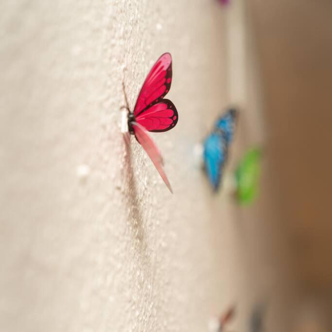 The Butterfly Studio - Zilker park/South Lamar - Housity