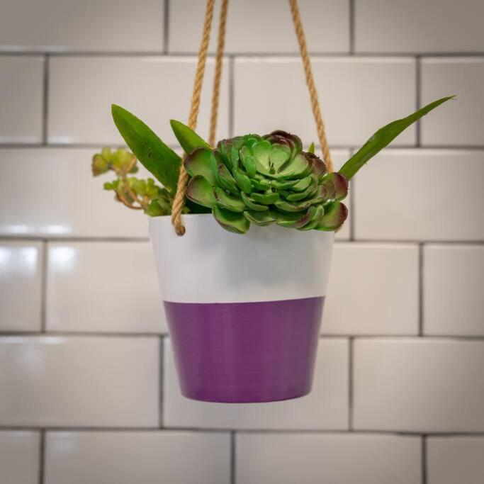 The Butterfly Studio - Zilker park/South Lamar - Housity