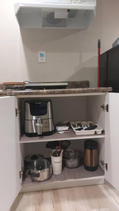 Lovely 1-Bedroom Basement Suite - Housity