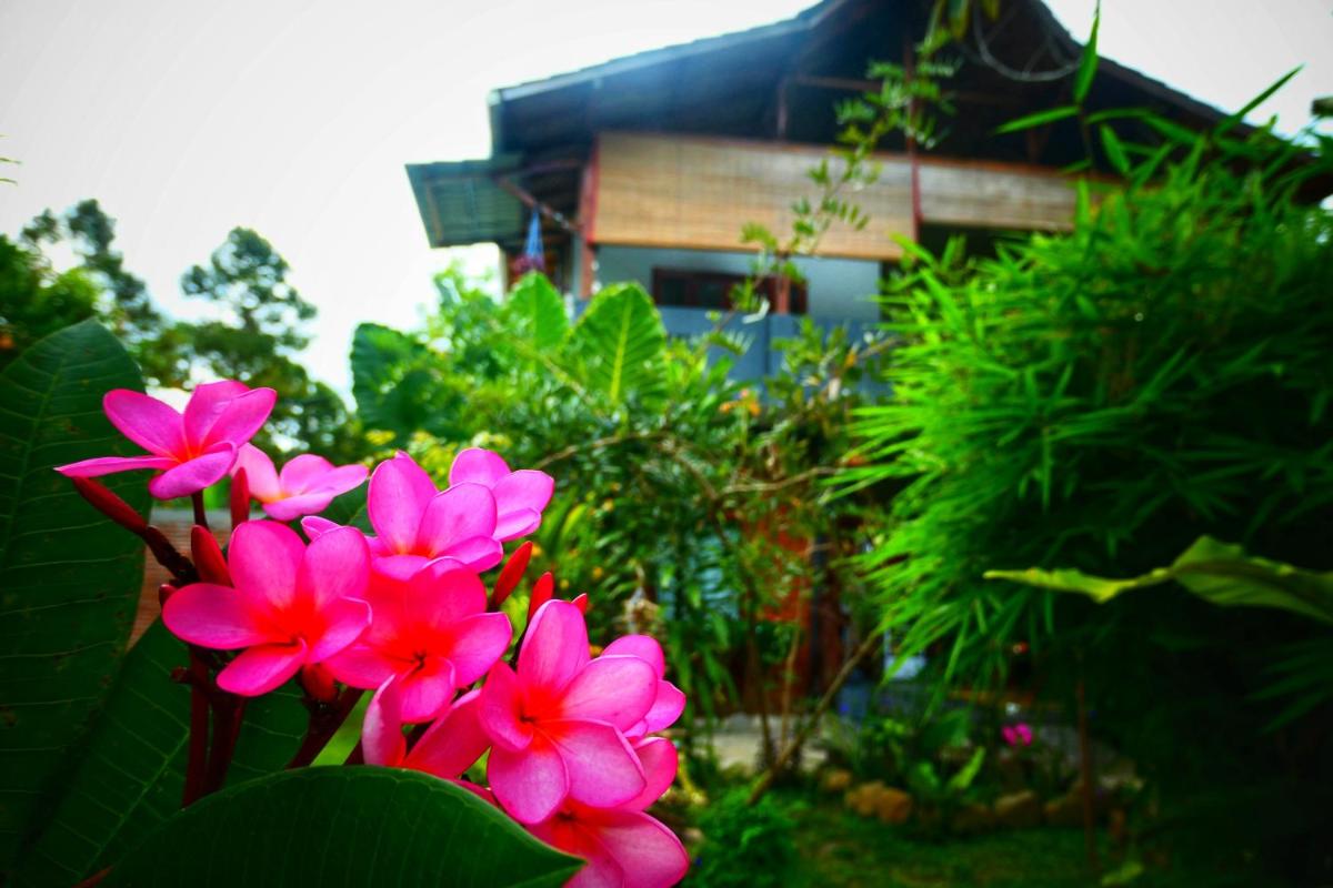 Sumatra Orangutan Discovery Villa - Hizvo