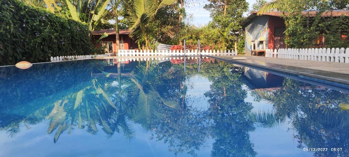 Mishita's Element Resort - Housity