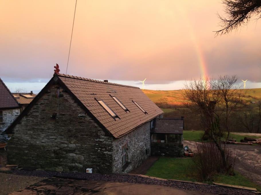 Luxury welsh wooden cabin, home of the red kites - Housity