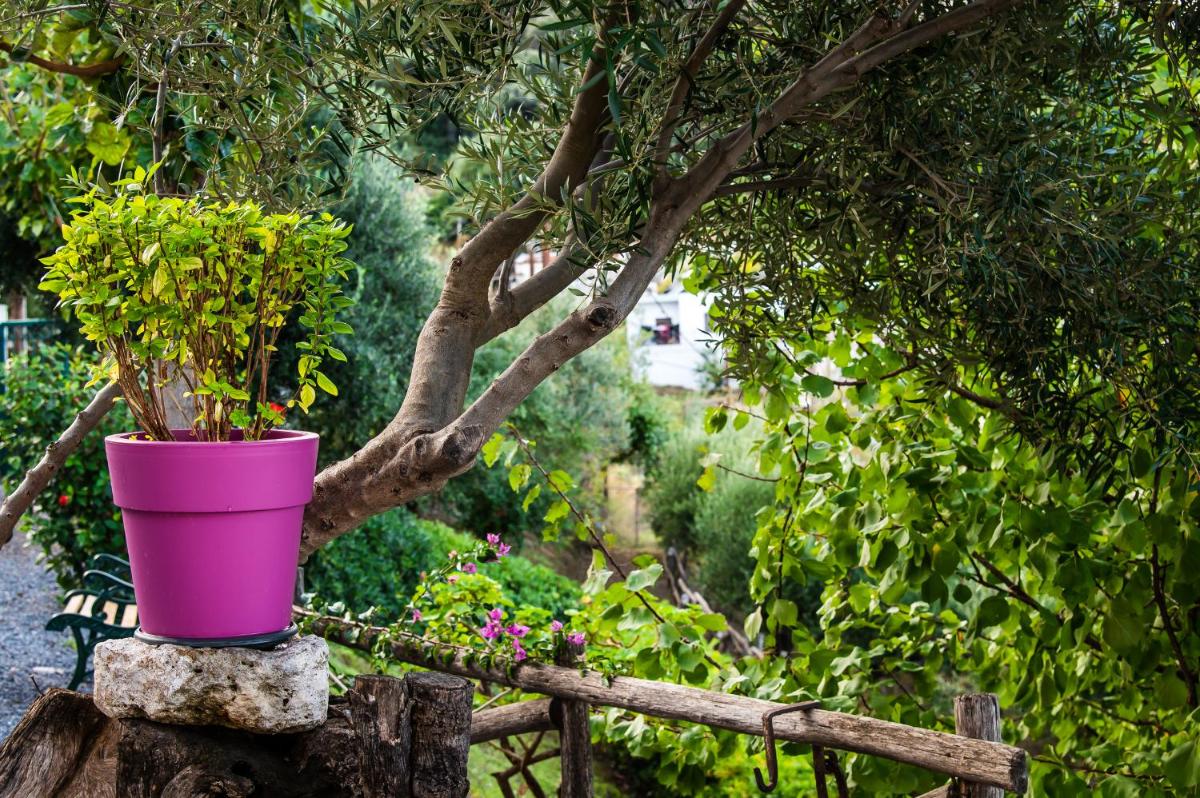 Chic & Spacious House in Rodia Heraklion - Housity