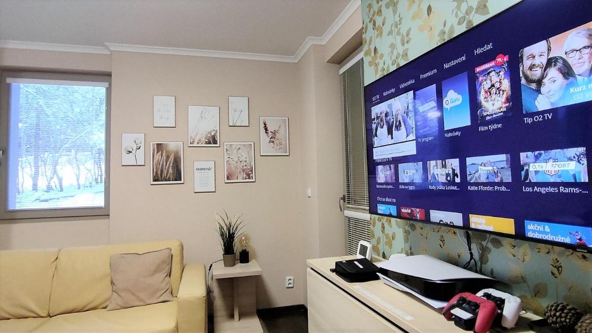 FREE WELLNESS & SPA MULTIMEDIA APARTMENT - ZDARMA VSTUP DO WELLNESS - ZÁŽITKOVÉ VANY, SOLNÁ SAUNA, FINSKÁ SAUNA, PARNÍ SAUNA, MASÁŽE, SNÍDANĚ V CENĚ, PLAYSTATION 5 a HRY, SKLEP, MODERNÍ VYBAVENÍ, PARKOVÁNÍ, DĚTSKÁ SJEZDOVKA VEDLE DOMU, VYBAVENÍ PRO DĚTI - Housity
