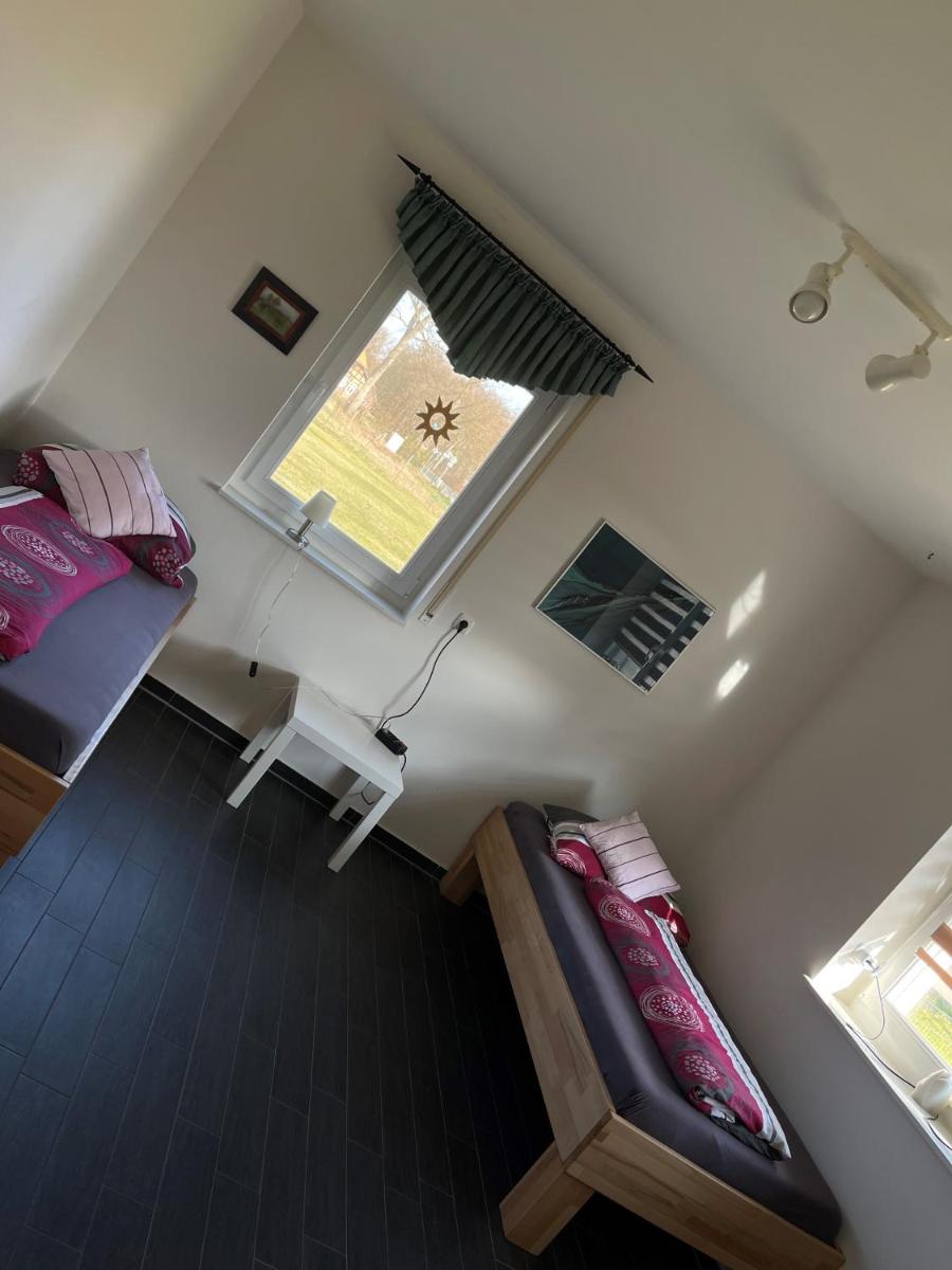 Ferienhaus Willmann - Housity