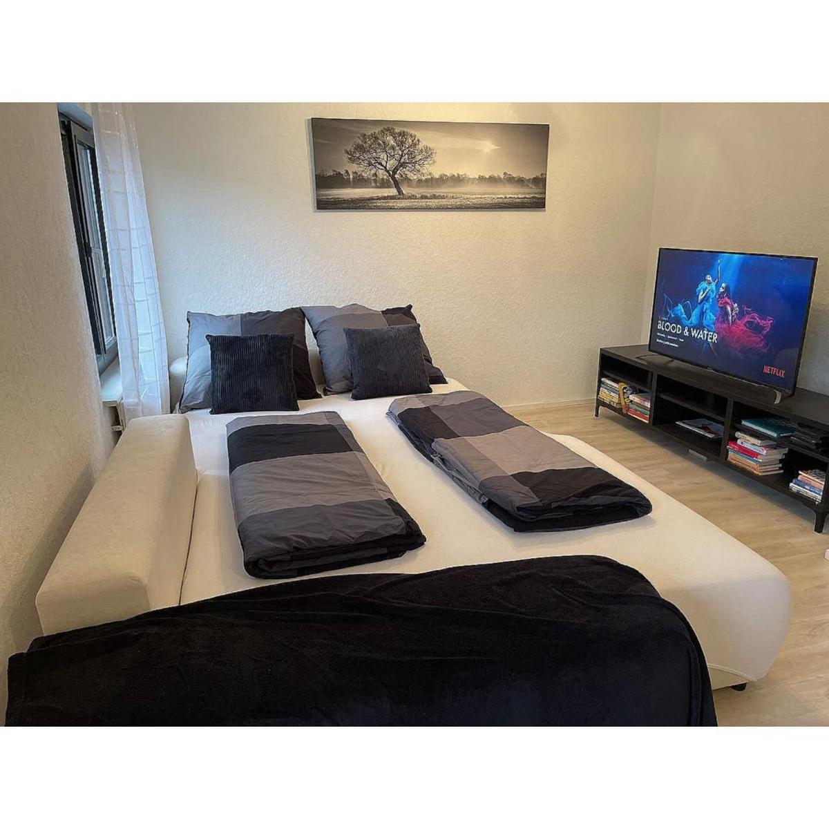 Feriendomizil zwischen Badeb-Baden - Offenburg - Housity