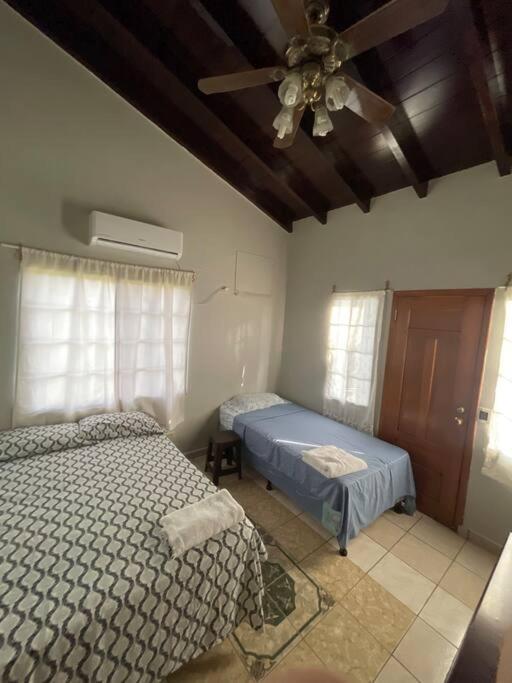 Casa Maru Luxury House in (Fully Climatized) - Housity