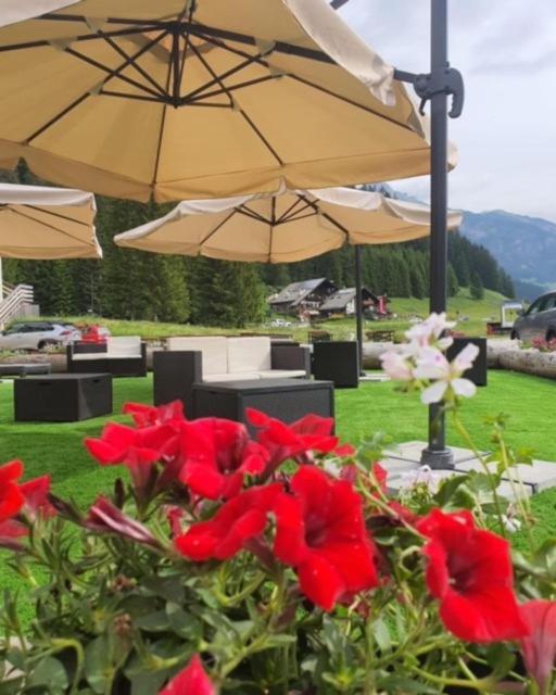 Soggiorno Dolomiti - Housity