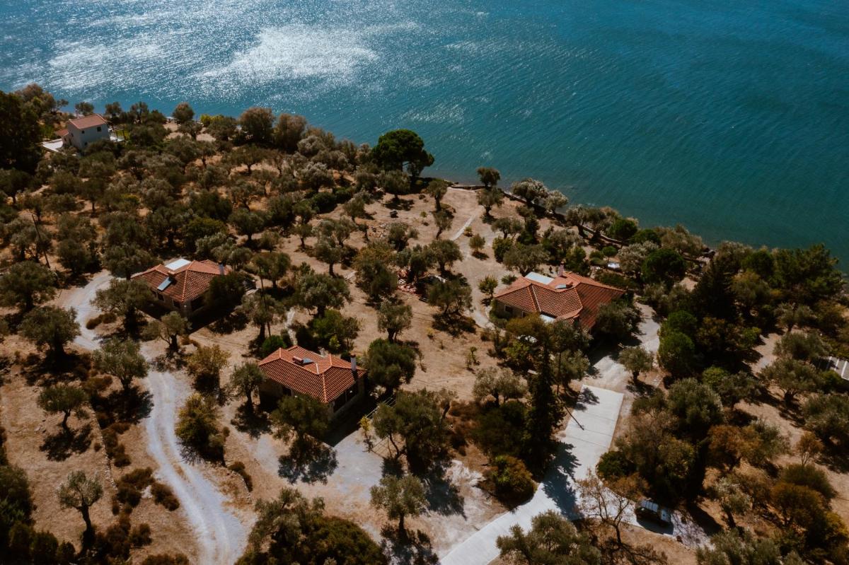 A Luxury Seafront Villa with amazing ambience and view - Housity