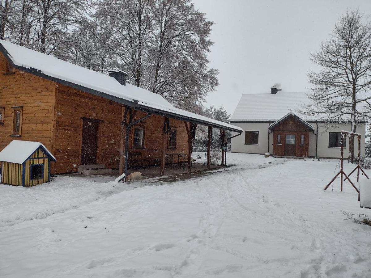 Kolorowe Wzgórze agroturystyka i konie - Housity