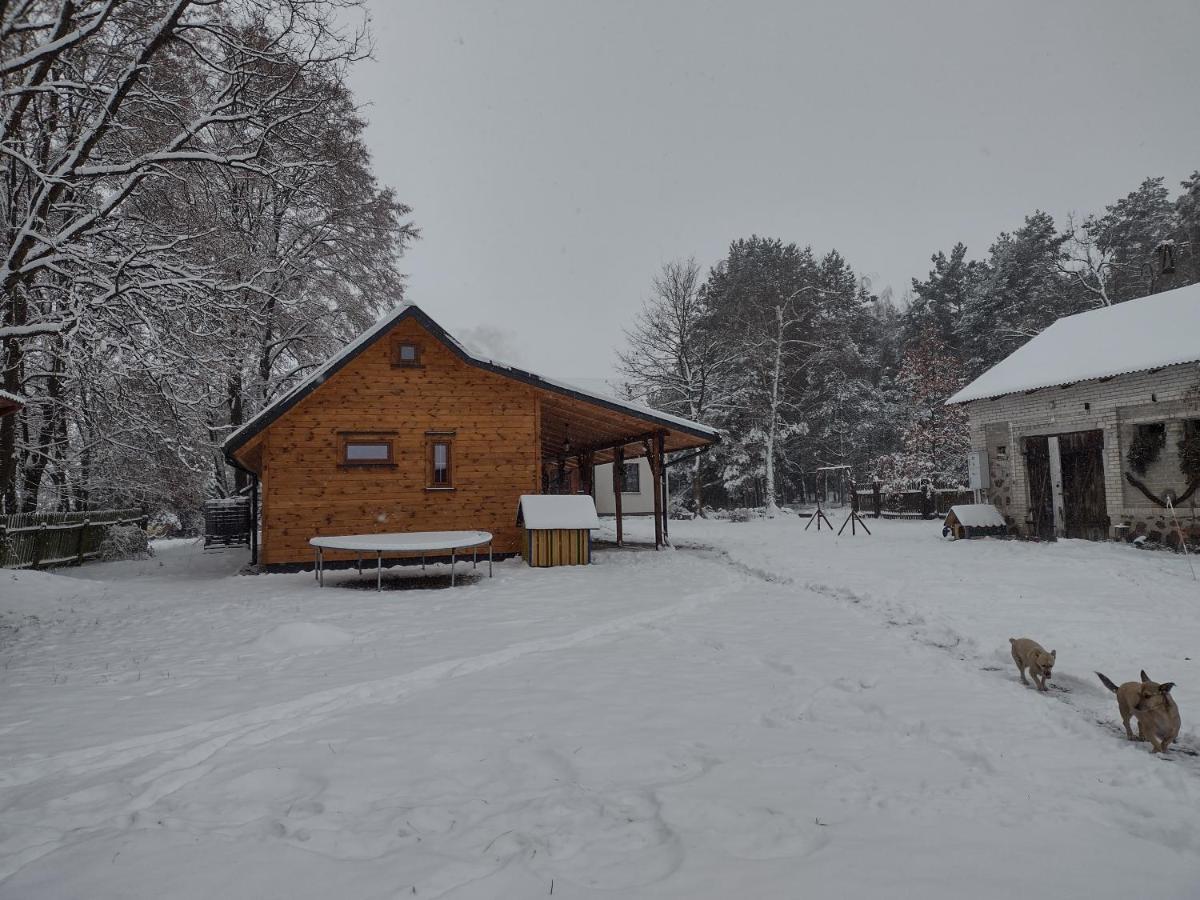 Kolorowe Wzgórze agroturystyka i konie - Housity