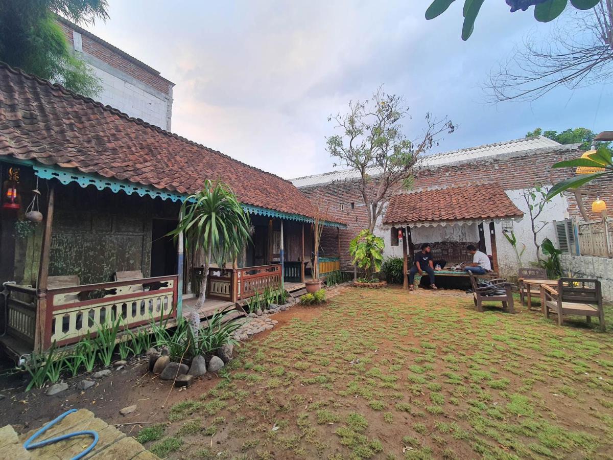 Happy House BnB Bromo backpacker - Housity