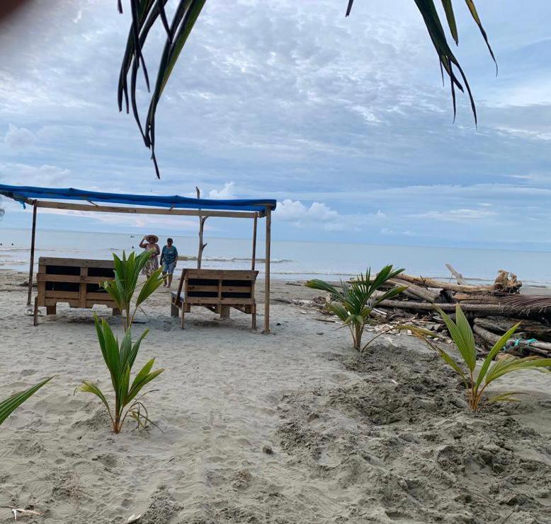Paradise cabaña - Housity