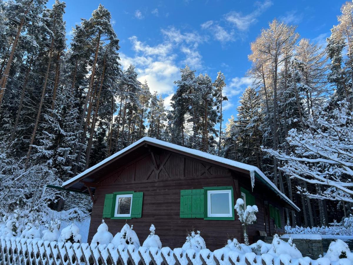 Waldchalet am Eichhof - Housity