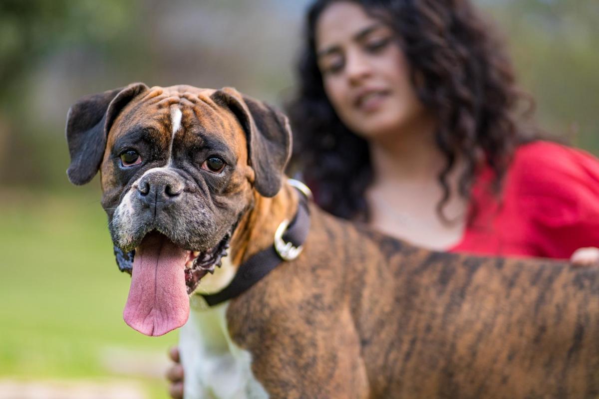 a woman holding a brown dog with its tongue out at Hyatt Hyderabad Gachibowli in Hyderabad