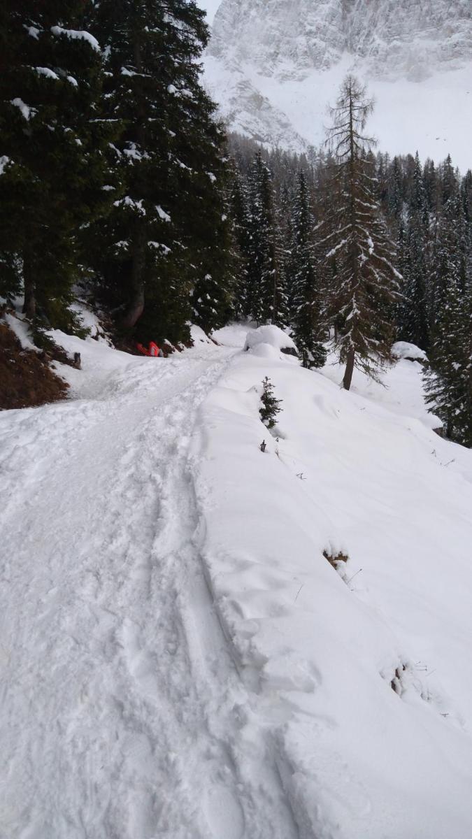 Appartamento a 2,5 km da Alleghe - Housity