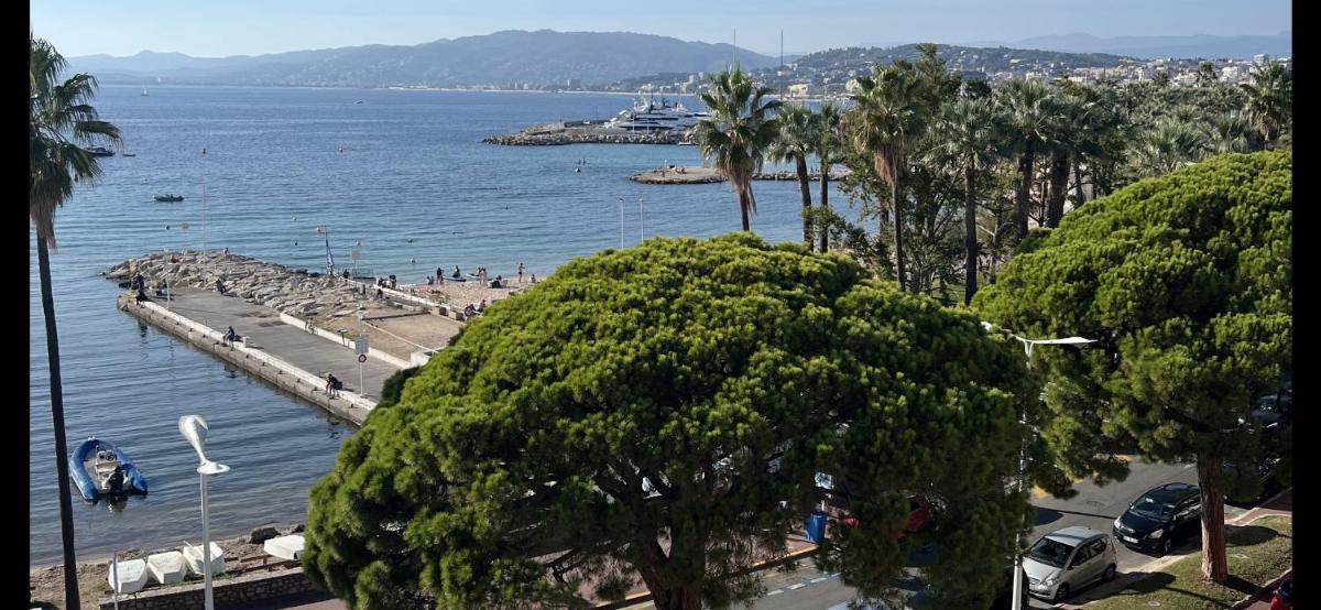 Palm croisette front de mer1 - Hizvo