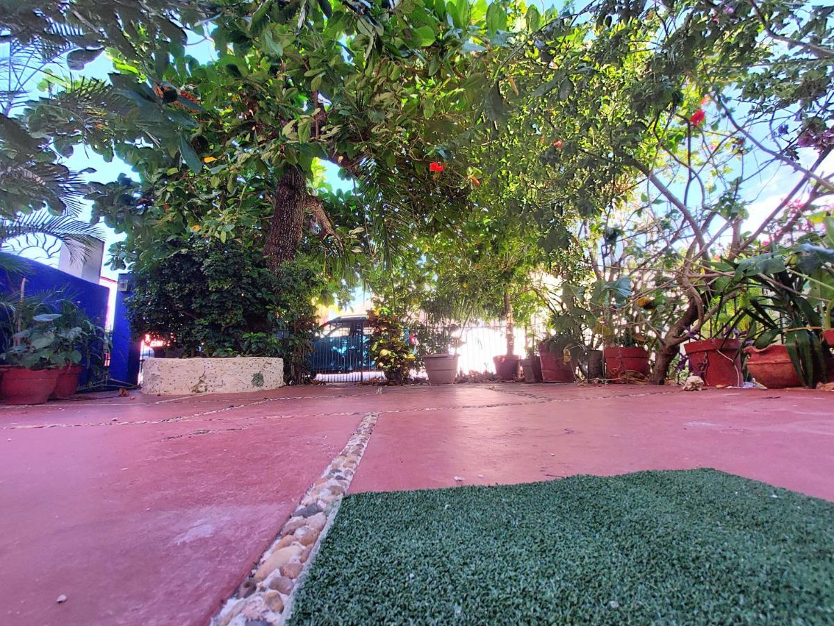 Exclusive Villa Pichi - Housity