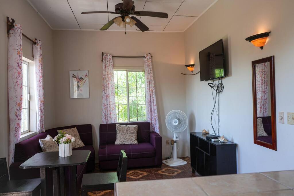 Apartemento Familiar en Roatan - Bella Vista - Housity