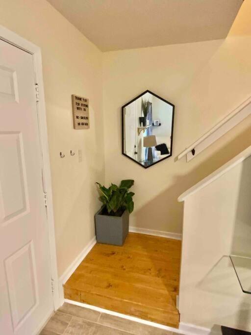 Cozy & Convenient 3 Bedrooms Plus Sleeper Sofa - Housity