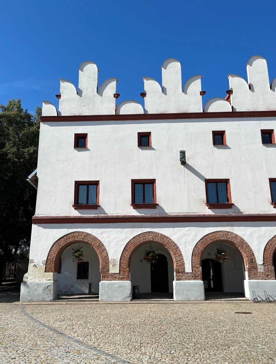 Vlaštovčí dům - Housity