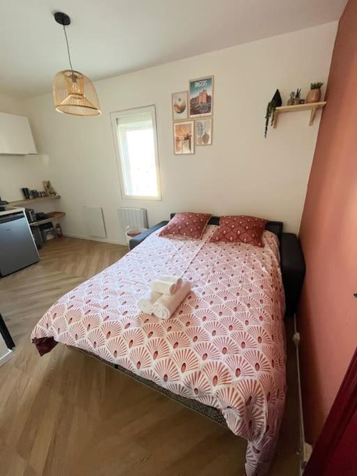 Studio - Cosy Kaza - Housity