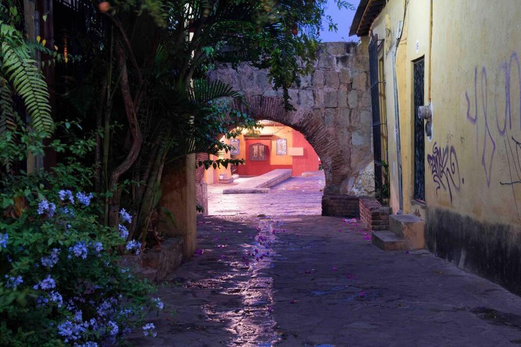 Hermosa Casa en el centro de Oaxaca - Housity