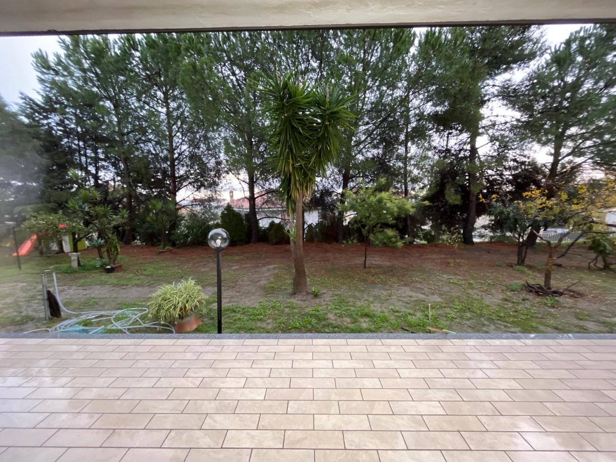 Oasi dei gatti - Housity