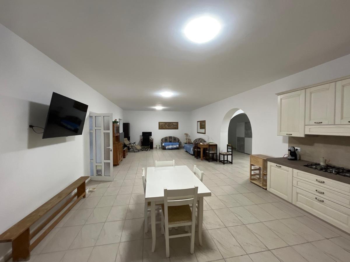 Oasi dei gatti - Housity