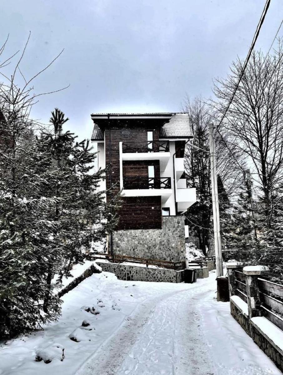 Casa Larisa - Wolves Apartment - Hizvo