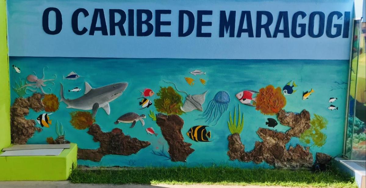 Pousada o Caribe de Maragogi - Housity