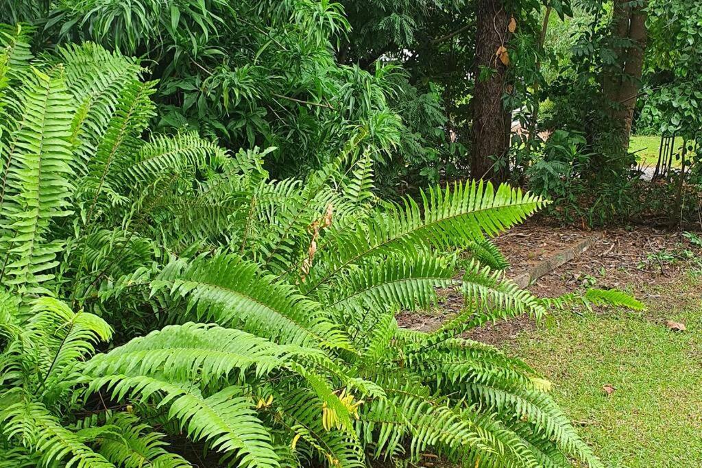 Adorable 2 bedroom unit, set in lush gardens - Housity