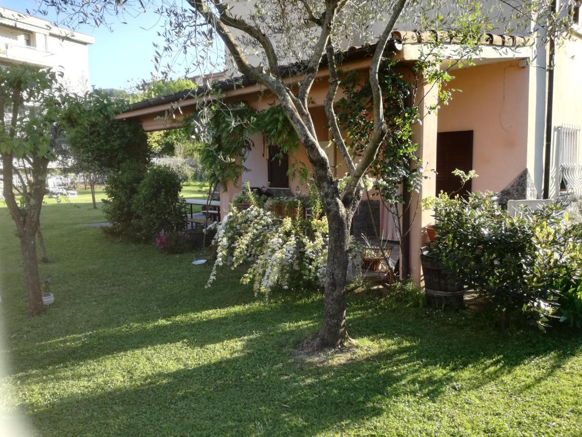 The Flowers Rose - Housity