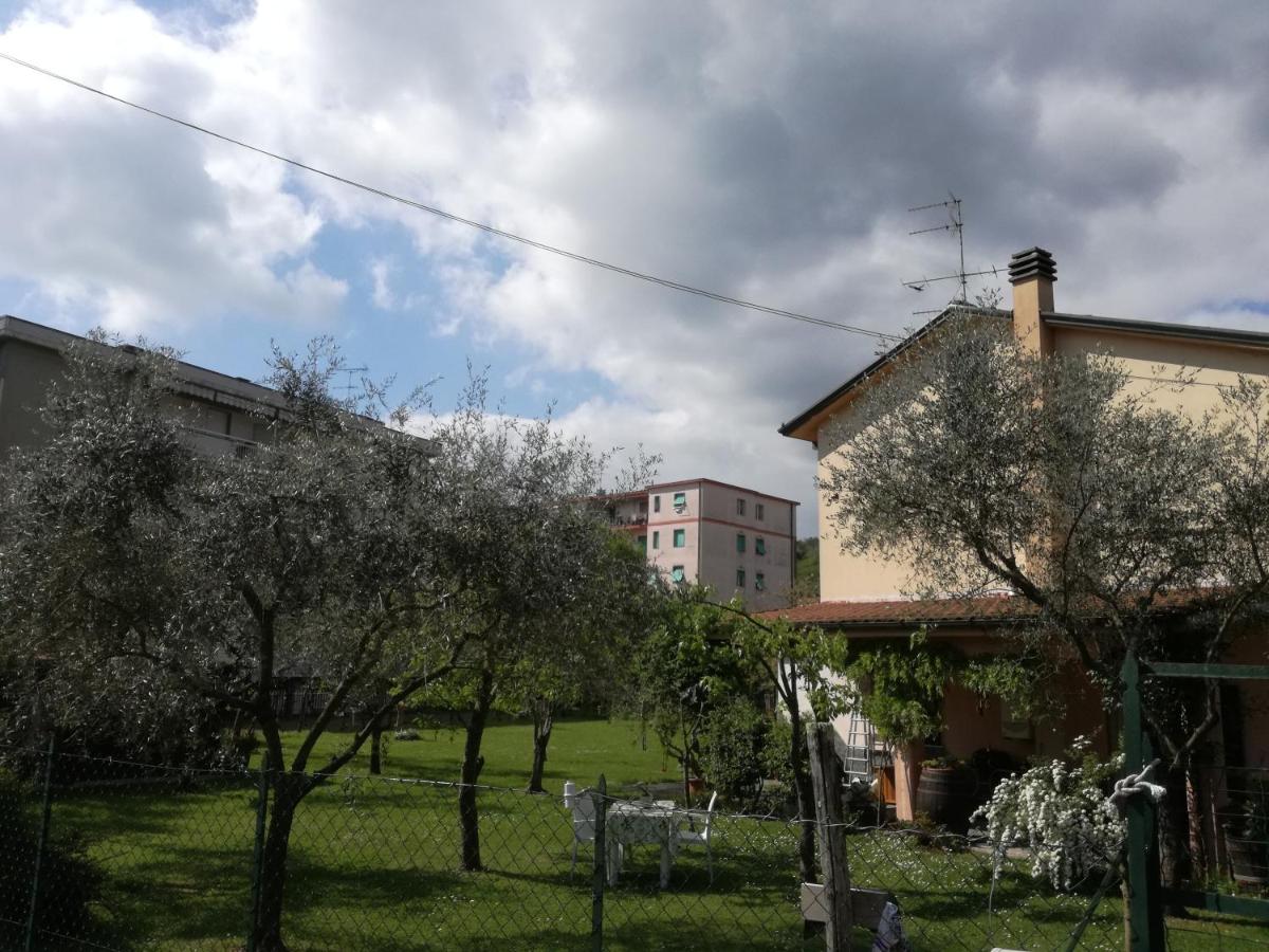 The Flowers Rose - Housity