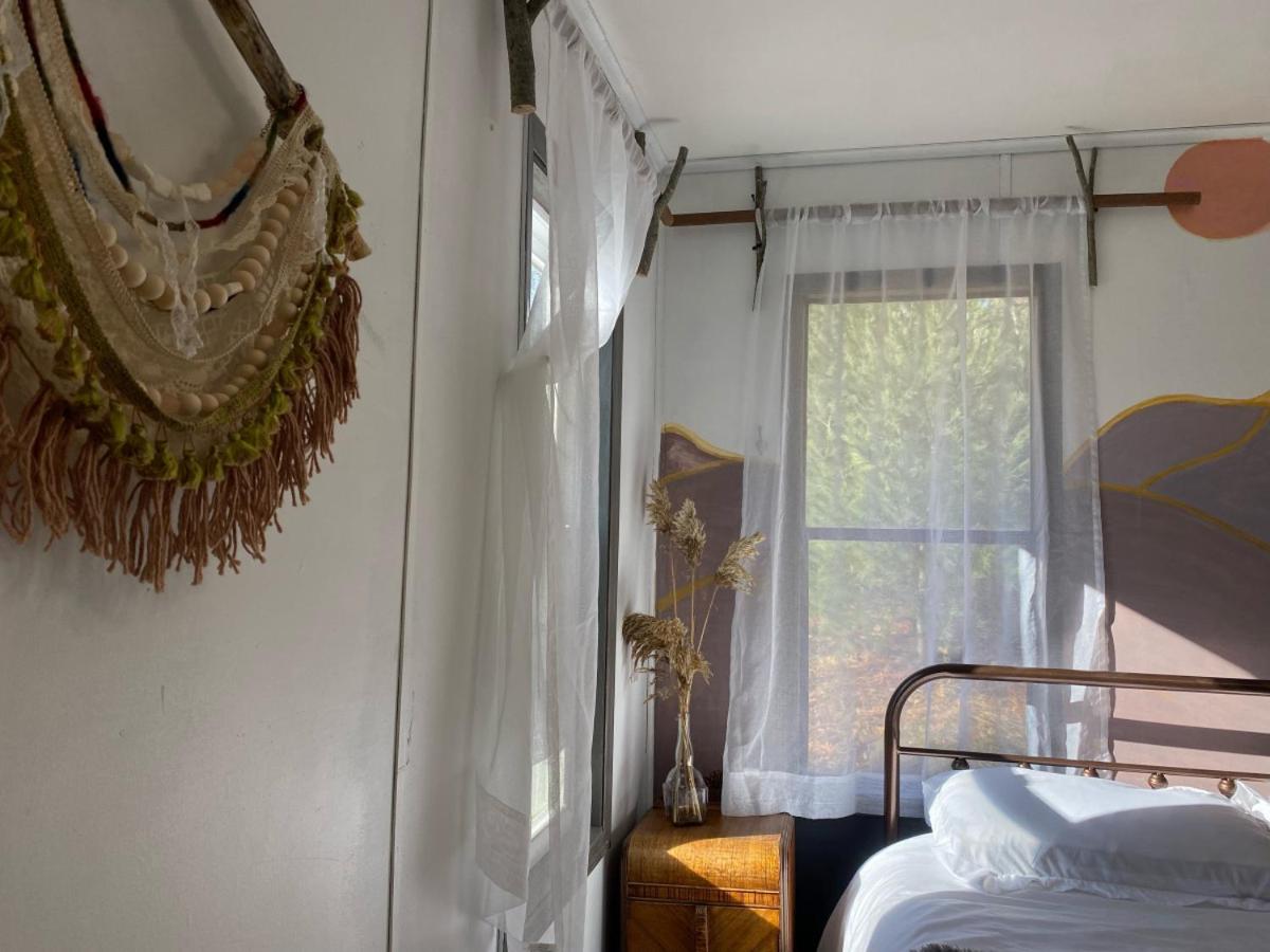 New- Cozy Tiny House with kitchenette firepit - Housity