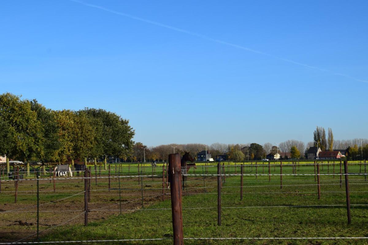Suitetrails - B&B Houten Huis