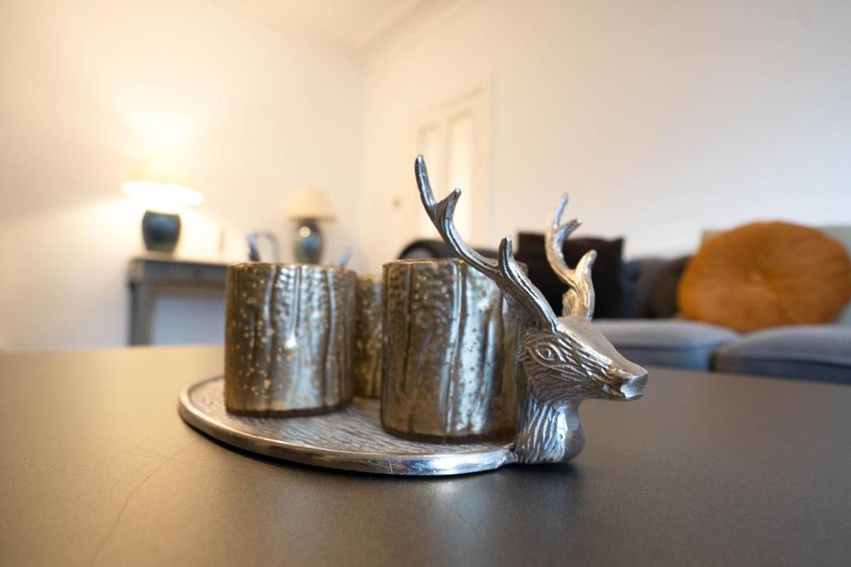 Special Basement Apartment close to the meadows - Housity